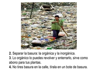 2. Separar la basura: la orgánica y la inorgánica.
3. Lo orgánico lo puedes revolver y enterrarlo, sirve como
abono para tus plantas.
4. No tires basura en la calle, tírala en un bote de basura.

 