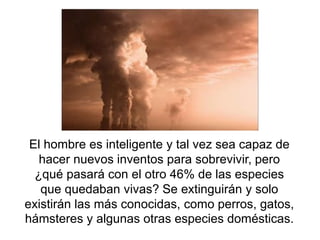 El hombre es inteligente y tal vez sea capaz de hacer nuevos inventos para sobrevivir, pero ¿qué pasará con el otro 46% de las especies que quedaban vivas? Se extinguirán y solo existirán las más conocidas, como perros, gatos, hámsteres y algunas otras especies domésticas.  