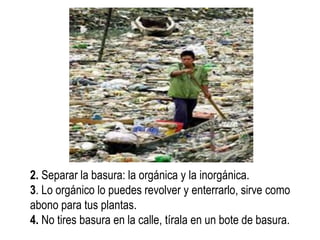 2. Separar la basura: la orgánica y la inorgánica. 
3. Lo orgánico lo puedes revolver y enterrarlo, sirve como abono para tus plantas. 
4. No tires basura en la calle, tírala en un bote de basura.  