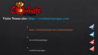 Visite Nosso site: http://combateaspulgas.com
 