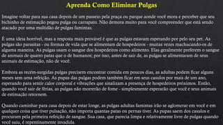 Aprenda Como Eliminar Pulgas
Imagine voltar para sua casa depois de um passeio pela praça ou parque aonde você mora e perceber que seu
bichinho de estimação pegou pulga ou carrapato. Não demora muito para você compreender que está sendo
atacado por uma multidão de pulgas famintas.
É uma ideia horrível, mas a resposta mais provável é que as pulgas estavam esperando por pelo seu pet. As
pulgas são parasitas - ou formas de vida que se alimentam de hospedeiros - muitas vezes machucando-os de
alguma maneira. As pulgas usam o sangue dos hospedeiros como alimento. Elas geralmente preferem o sangue
de animais de quatro patas que o de humanos; por isso, antes de sair de, as pulgas se alimentaram de seus
animais de estimação, não de você.
Embora as recém-surgidas pulgas precisem encontrar comida em poucos dias, as adultas podem ficar alguns
meses sem uma refeição. As pupas das pulgas podem também ficar em seus casulos por mais de um ano,
esperando para sentir calor corporal e vibrações que sinalizam a presença de hospedeiros próximos. Então,
quando você sair de férias, as pulgas não morrerão de fome - simplesmente esperarão que você e seus animais
de estimação retornem.
Quando caminhar para casa depois de estar longe, as pulgas adultas famintas irão se aglomerar em você e em
qualquer coisa que tiver pulsação, não importa quantas patas ou pernas tiver. As pupas saem dos casulos e
procuram pela primeira refeição de sangue. Sua casa, que parecia limpa e relativamente livre de pulgas quando
você saiu, é repentinamente invadida.
 