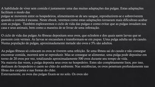 A habilidade de viver sem comida é justamente uma das muitas adaptações das pulgas. Estas adaptações
facilitam o modo das
pulgas se moverem entre os hospedeiros, alimentarem-se de seu sangue, reproduzirem-se e sobreviverem
quando a comida é escassa. Neste ebook, veremos como estas adaptações tornaram mais dificultoso acabar
com as pulgas. Também exploraremos o ciclo de vida das pulgas e como evitar que as pulgas invadam sua
casa e seus animais, bem como a maneira de se livrar de uma infestação.
O ciclo de vida das pulgas As fêmeas depositam seus ovos, que eclodem e dos quais saem larvas que se
parecem com vermes. As larvas se encasulam e transformam-se em pupas. Uma pulga adulta sai do casulo.
Numa população de pulgas, aproximadamente metade são ovos e 5% são adultos.
As pulgas fêmeas só colocam os ovos se tiverem uma refeição. Se uma fêmea sai do casulo e não consegue
encontrar comida, morrerá sem se reproduzir. Mas se consegue se alimentar, uma pulga pode depositar em
torno de 20 ovos por vez, totalizando aproximadamente 500 ovos durante seu tempo de vida.
Na maioria das vezes, a pulga deposita seus ovos no hospedeiro. Estes são completamente lisos, por isso,
deslizam do hospedeiro e caem no chão do ambiente. Nas residências, os ovos penetram profundamente nas
fibras dos carpetes e nas frestas do chão.
Externamente, os ovos das pulgas fixam-se no solo. Os ovos são
 