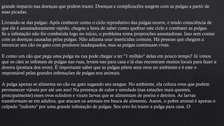 grande impacto nas doenças que podem trazer. Doenças e complicações surgem com as pulgas a partir de
suas picadas.
Livrando-se das pulgas: Após conhecer como o ciclo reprodutivo das pulgas ocorre, e tendo consciência de
que ele é assustadoramente rápido, chegou a hora de saber como quebrar este ciclo e combater as pulgas.
Se a infestação não for combatida logo no início, o problema toma proporções assustadoras. Isso sem contar
com as doenças causadas pelas pulgas. Não adianta usar inseticidas comuns. Há pessoas que chegam a
intoxicar seu cão ou gato com produtos inadequados, mas as pulgas continuam vivas.
E como um cão que pega uma pulga na rua pode chegar a ter "1 milhão" delas em pouco tempo? Já vimos
que os cães se infestam de pulgas nas ruas, levam-nas para casa e lá elas encontram muitos locais para fazer a
desova (postura dos ovos). É importante saber que as pulgas põem seus ovos no ambiente e é este o
responsável pelas grandes infestações de pulgas nos animais.
A pulga apenas se alimenta no cão ou gato sugando seu sangue. No ambiente, ela coloca ovos que podem
permanecer viáveis por até um ano! Na presença de calor e umidade (nas estações mais quentes,
principalmente) esses ovos eclodem e viram larvas que se alimentam de poeira e detritos. As larvas
transformam-se em adultos, que atacam os animais em busca de alimento. Assim, o pobre animal é apenas o
culpado "indireto" por uma grande infestação de pulgas. Seu erro foi trazer a pulga para casa. O
 