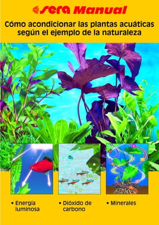 Cómo acondicionar las plantas acuáticas
según el ejemplo de la naturaleza
• Energía
luminosa
• Minerales• Dióxido de
carbono
67 Manual
 