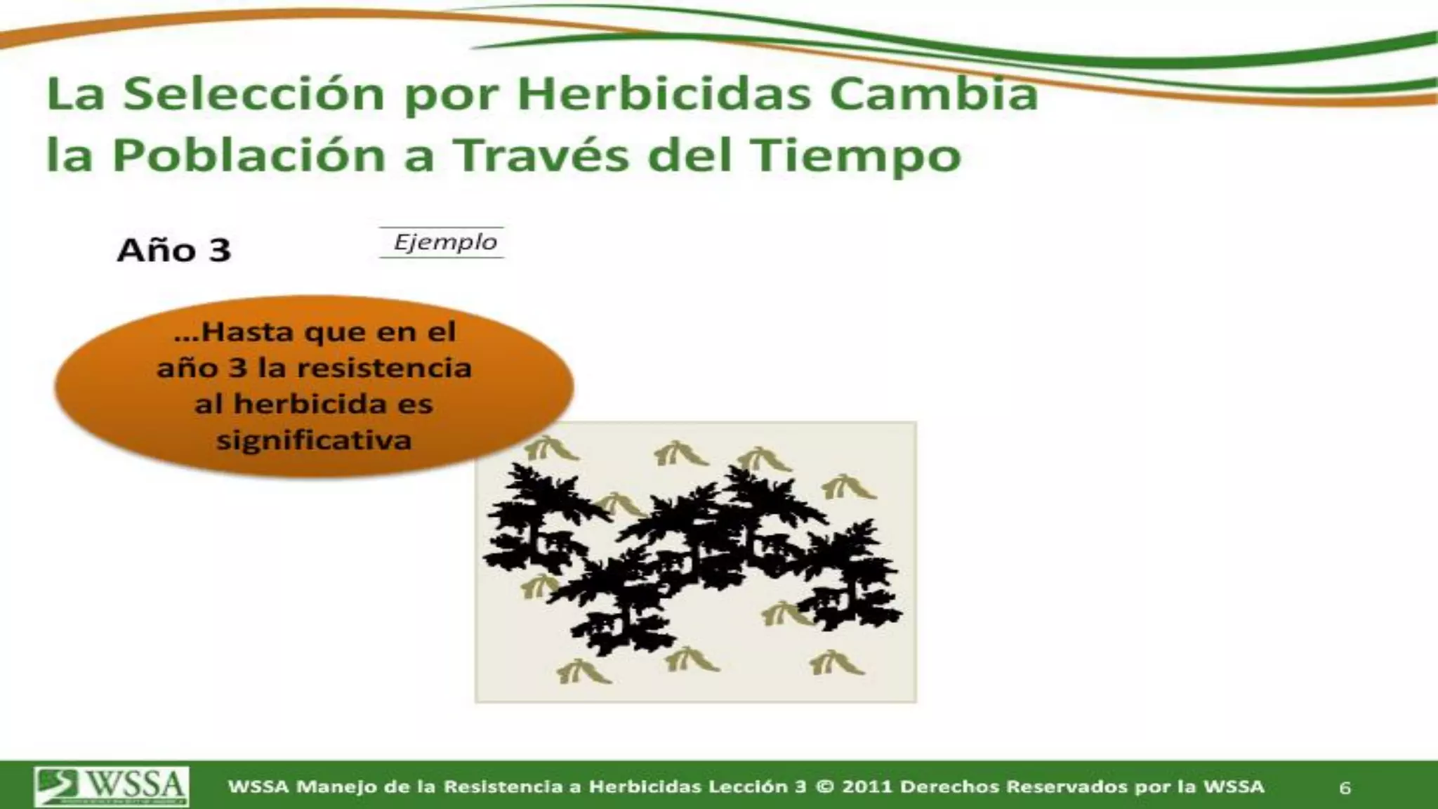 Como Actuan Los Herbicidas Pdf