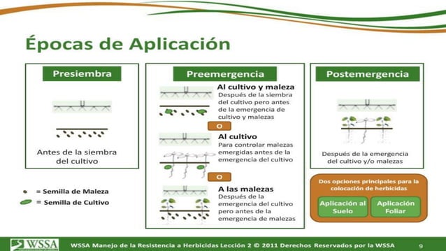 Como Actuan Los Herbicidas Pdf