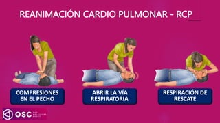 REANIMACIÓN CARDIO PULMONAR - RCP
COMPRESIONES
EN EL PECHO
ABRIR LA VÍA
RESPIRATORIA
RESPIRACIÓN DE
RESCATE
 