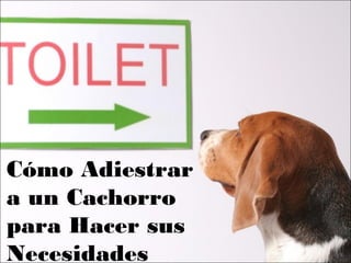 Cómo Adiestrar
a un Cachorro
para Hacer sus
Necesidades
 