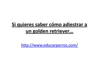 Si quieres saber cómo adiestrar a
       un golden retriever…

    http://www.educarperros.com/
 