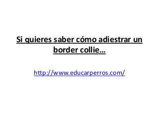 Si quieres saber cómo adiestrar un
           border collie…

    http://www.educarperros.com/
 