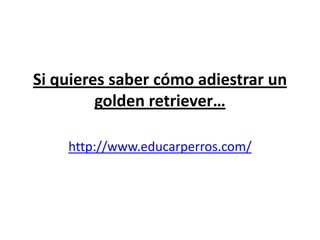 Si quieres saber cómo adiestrar un
         golden retriever…

    http://www.educarperros.com/
 