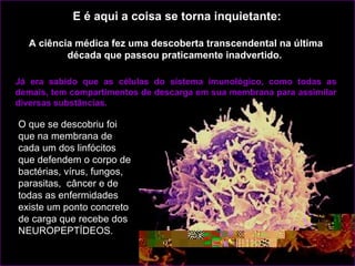 O que se descobriu foi
que na membrana de
cada um dos linfócitos
que defendem o corpo de
bactérias, vírus, fungos,
parasit...
