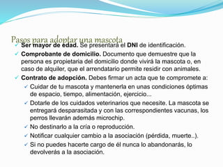 Pasos para adoptar una mascota Ser mayor de edad. Se presentará el DNI de identificación.
 Comprobante de domicilio. Documento que demuestre que la
persona es propietaria del domicilio donde vivirá la mascota o, en
caso de alquiler, que el arrendatario permite residir con animales.
 Contrato de adopción. Debes firmar un acta que te compromete a:
 Cuidar de tu mascota y mantenerla en unas condiciones óptimas
de espacio, tiempo, alimentación, ejercicio...
 Dotarle de los cuidados veterinarios que necesite. La mascota se
entregará desparasitada y con las correspondientes vacunas, los
perros llevarán además microchip.
 No destinarlo a la cría o reproducción.
 Notificar cualquier cambio a la asociación (pérdida, muerte..).
 Si no puedes hacerte cargo de él nunca lo abandonarás, lo
devolverás a la asociación.
 