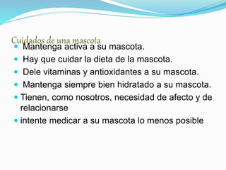 Cuidados de una mascota
 Mantenga activa a su mascota.
 Hay que cuidar la dieta de la mascota.
 Dele vitaminas y antioxidantes a su mascota.
 Mantenga siempre bien hidratado a su mascota.
 Tienen, como nosotros, necesidad de afecto y de
relacionarse
 intente medicar a su mascota lo menos posible
 