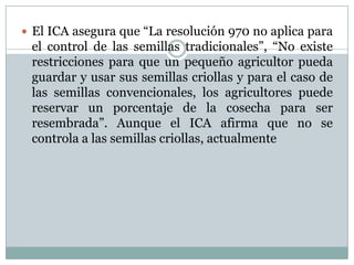  El ICA asegura que “La resolución 970 no aplica para
el control de las semillas tradicionales”, “No existe
restricciones para que un pequeño agricultor pueda
guardar y usar sus semillas criollas y para el caso de
las semillas convencionales, los agricultores puede
reservar un porcentaje de la cosecha para ser
resembrada”. Aunque el ICA afirma que no se
controla a las semillas criollas, actualmente
 