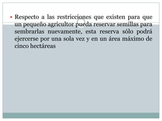  Respecto a las restricciones que existen para que
un pequeño agricultor pueda reservar semillas para
sembrarlas nuevamente, esta reserva sólo podrá
ejercerse por una sola vez y en un área máximo de
cinco hectáreas
 