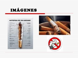 IMÁGENES 