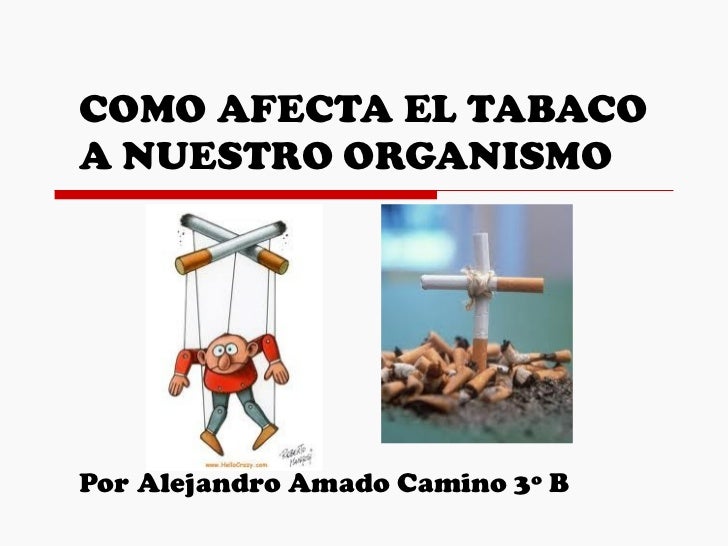 Como afecta el tabaco a nuestro organismo Como afecta el tabaco a nuestro organismo