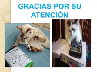 GRACIAS POR SU
  ATENCIÓN
 