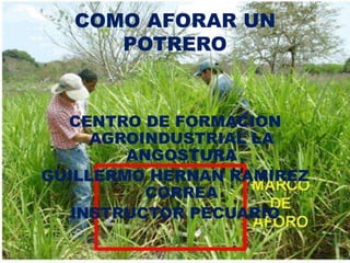 COMO AFORAR UN
     POTRERO


  CENTRO DE FORMACION
     AGROINDUSTRIAL LA
        ANGOSTURA
GUILLERMO HERNAN RAMIREZ
          CORREA
   INSTRUCTOR PECUARIO
 