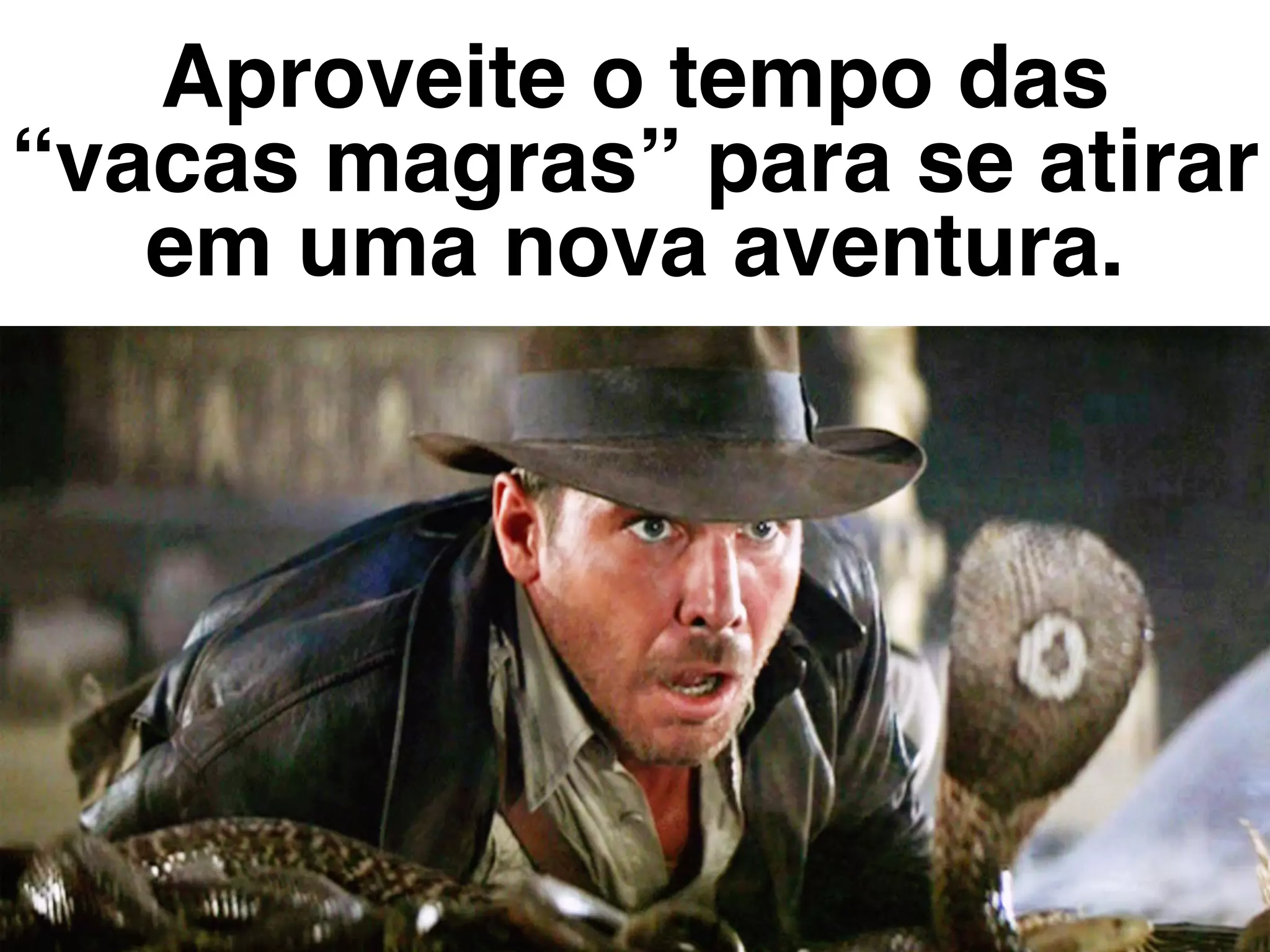 Aproveite o tempo das
“vacas magras” para se atirar
em uma nova aventura.
 