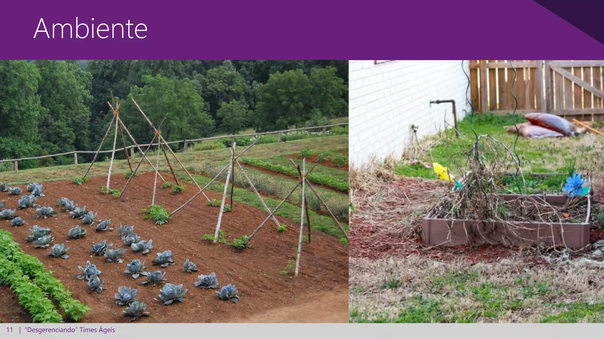 11 | “Desgerenciando” Times Ágeis
Ambiente
 
