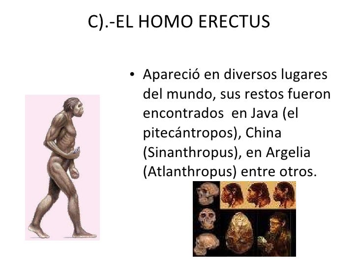 Como Aparecio El Hombre En La Tierra
