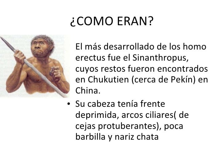 Como Aparecio El Hombre En La Tierra
