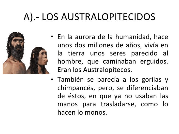 Como Aparecio El Hombre En La Tierra