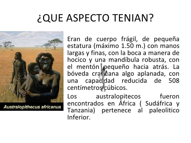 Como Aparecio El Hombre En La Tierra