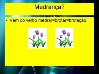 Medrança? Vem do verbo medrar=brotar=brotação 