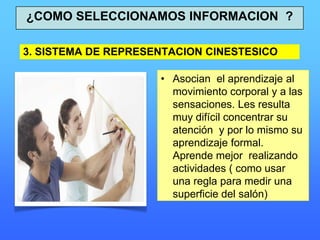 3. SISTEMA DE REPRESENTACION CINESTESICO
• Asocian el aprendizaje al
movimiento corporal y a las
sensaciones. Les resulta
muy difícil concentrar su
atención y por lo mismo su
aprendizaje formal.
Aprende mejor realizando
actividades ( como usar
una regla para medir una
superficie del salón)
¿COMO SELECCIONAMOS INFORMACION ?
 