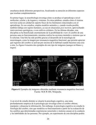 enseñanza desde diferentes perspectivas, focalizando su atención en diferentes aspectos
que resultan complementarios.
En primer lugar, la neurobiología investiga cómo se produce el aprendizaje a nivel
molecular, celular y de órganos y sistemas. En otras palabras, estudia cómo el sistema
nervioso actúa en calidad de soporte físico de los fenómenos relacionados con el
aprendizaje. En sus estudios, emplea modelos animales y, cuando resulta posible,
también trabaja con sujetos humanos, ya sea en situaciones post mortem, aprovechando
intervenciones quirúrgicas, o con cultivos celulares. En las últimas décadas, esta
disciplina se ha beneficiado enormemente de la posibilidad de «ver» el cerebro de una
persona sana en funcionamiento, mientras realiza las acciones mentales o motoras que se
le solicitan. Este hito ha sido posible gracias al desarrollo de la tecnología de
neuroimagen, como la imagen por resonancia magnética funcional, que permite apreciar
qué regiones del cerebro se activan por encima de lo habitual cuando hacemos una cosa
u otra. La figura 4 muestra dos ejemplos de este tipo de imágenes (aunque en blanco y
negro).
Figura 4: Ejemplos de imágenes obtenidas mediante resonancia magnética funcional.
Fuente: M.R.W.HH, Wikipedia.
A un nivel de estudio distinto se situaría la psicología cognitiva, una rama
profundamente empírica de la psicología que investiga cómo el cerebro obtiene,
manipula y almacena la información. Sin embargo, la psicología cognitiva no estudia la
fisiología del cerebro, sino que modeliza su funcionamiento a partir de la evaluación de
los cambios que determinadas experiencias sensoriales o motoras causan en la conducta
y las habilidades de las personas. Por ejemplo, un experimento de esta disciplina podría
20
 