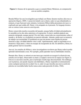 Figura 1: Alcance de la operación a que se sometió Henry Molaison, en comparación
con un cerebro completo.
Brenda Milner fue una investigadora que trabajó con Henry durante muchos años tras su
operación (Squire, 2009). A pesar de tratarlo casi a diario, cada vez que abandonaba su
estancia, ni que fuera por unos minutos, la doctora Milner debía presentarse de nuevo y
explicarle por qué estaba allí. Henry vivía atrapado en el presente. En lenguaje técnico,
esto se conoce como amnesia anterógrada.
Henry conservaba muchos recuerdos del pasado, aunque había olvidado principalmente
lo sucedido en los dos años anteriores a la operación. Es decir, también padecía una
amnesia retrógrada, aunque parcial. Por otro lado, conservaba sus conocimientos sobre el
mundo y, de hecho, su vocabulario no parecía afectado. Además, podía usar su memoria
de trabajo con normalidad. El problema era que tan pronto como dejaba de prestar
atención a algo, olvidaba haberlo visto u oído. Aparentemente, nada se registraba en su
memoria a largo plazo, o bien era incapaz de recuperarlo de ella. En definitiva, Henry no
podía generar nuevos recuerdos.
Aun así, los estudios de Milner y otros investigadores revelaron que Henry todavía podía
aprender determinadas cosas. Por ejemplo, podía aprender nuevas habilidades motoras.
Durante días, Henry se entrenó en una tarea que consistía en reseguir la silueta de una
estrella con un lápiz, observando su mano y el papel a través de un espejo (ver figura 2).
Esta no es una tarea sencilla, pues al principio resulta algo desconcertante. Sin embargo,
con la práctica, uno puede mejorar esta habilidad, y Henry respondió al entrenamiento
como cualquier persona de su edad. Eso sí, cada vez que iniciaba una nueva sesión de
práctica no recordaba haber hecho nunca antes nada parecido (Corkin, 1968).
38
 