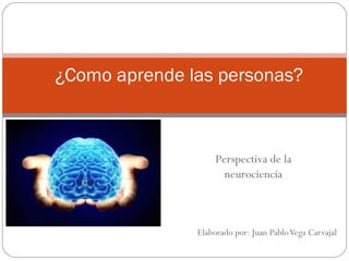 Elaborado por: Juan PabloVega Carvajal
¿Como aprende las personas?
Perspectiva de la
neurociencia
 