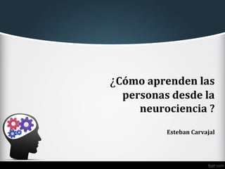¿Cómo aprenden las
personas desde la
neurociencia ?
Esteban Carvajal
 