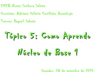 EMEB Nossa Senhora Salete 
Cursista: Adriana Valéria Ceciliato Azambuja 
Tutora: Raquel Sabota 
Tópico 55:: CCoommoo AApprreennddoo 
NNúúcclleeoo ddee BBaassee 11 
Caçador, 28 de setembro de 2014. 
