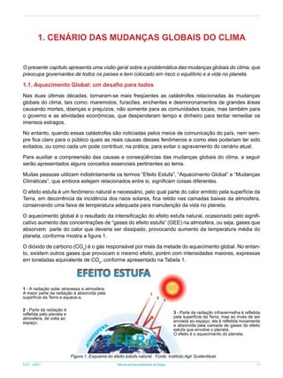 1. CENÁRIO DAS MUDANÇAS GLOBAIS DO CLIMA
O presente capítulo apresenta uma visão geral sobre a problemática das mudanças globais do clima, que
preocupa governantes de todos os países e tem colocado em risco o equilíbrio e a vida no planeta.

1.1. Aquecimento Global: um desafio para todos
Nas duas últimas décadas, tornaram-se mais freqüentes as catástrofes relacionadas às mudanças
globais do clima, tais como: maremotos, furacões, enchentes e desmoronamentos de grandes áreas
causando mortes, doenças e prejuízos, não somente para as comunidades locais, mas também para
o governo e as atividades econômicas, que despenderam tempo e dinheiro para tentar remediar os
imensos estragos.
No entanto, quando essas catástrofes são noticiadas pelos meios de comunicação do país, nem sempre fica claro para o público quais as reais causas desses fenômenos e como eles poderiam ter sido
evitados, ou como cada um pode contribuir, na prática, para evitar o agravamento do cenário atual.
Para auxiliar a compreensão das causas e conseqüências das mudanças globais do clima, a seguir
serão apresentados alguns conceitos essenciais pertinentes ao tema.
Muitas pessoas utilizam indistintamente os termos “Efeito Estufa”, “Aquecimento Global” e “Mudanças
Climáticas”, que embora estejam relacionados entre si, significam coisas diferentes.
O efeito estufa é um fenômeno natural e necessário, pelo qual parte do calor emitido pela superfície da
Terra, em decorrência da incidência dos raios solares, fica retido nas camadas baixas da atmosfera,
conservando uma faixa de temperatura adequada para manutenção da vida no planeta.
O aquecimento global é o resultado da intensificação do efeito estufa natural, ocasionado pelo significativo aumento das concentrações de “gases do efeito estufa” (GEE) na atmosfera, ou seja, gases que
absorvem parte do calor que deveria ser dissipado, provocando aumento da temperatura média do
planeta, conforme mostra a figura 1.
O dióxido de carbono (CO2) é o gás responsável por mais da metade do aquecimento global. No entanto, existem outros gases que provocam o mesmo efeito, porém com intensidades maiores, expressas
em toneladas equivalente de CO2, conforme apresentado na Tabela 1.

1 - A radiação solar atravessa a atmosfera.
A maior parte da radiação é absorvida pela
superfície da Terra e aquece-a.
2 - Parte da radiação é
refletida pelo planeta e
atmosfera, de volta ao
espaço.

3 - Parte da radiação infravermelha é refletida
pela superfície da Terra, mas ao invés de ser
enviada ao espaço, ela é refletida novamente
e absorvida pela camada de gases do efeito
estufa que envolve o planeta.
O efeito é o aquecimento do planeta.

Figura 1. Esquema do efeito estufa natural. Fonte: Instituto Agir Sustentável.
ICLEI - LACS

Manual para Aproveitamento de Biogás

13

 