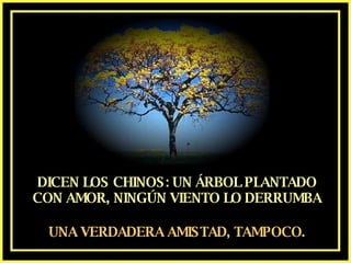 DICEN LOS CHINOS: UN ÁRBOL PLANTADO CON AMOR, NINGÚN VIENTO LO DERRUMBA UNA VERDADERA AMISTAD, TAMPOCO. 