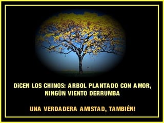 DiCEN LOS CHINOS: ARBOL PLANTADO CON AMOR,
NINGÚN VIENTO DERRUMBA
UNA VERDADERA AMISTAD, TAMBIÉN!