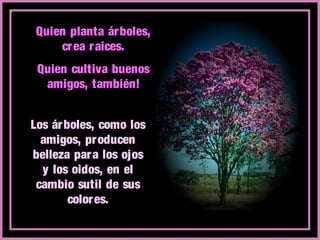 Quien planta árboles,
crea raices.
Quien cultiva buenos
amigos, también!
Los árboles, como los
amigos, producen
belleza para los ojos
y los oidos, en el
cambio sutil de sus
colores.