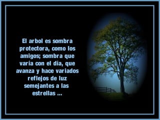 El arbol es sombra
protectora, como los
amigos; sombra que
varía con el día, que
avanza y hace variados
reflejos de luz
semejantes a las
estrellas ...