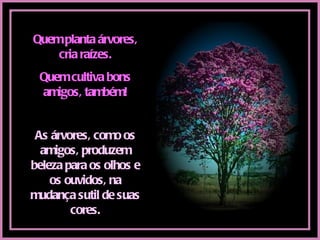Quem planta árvores, cria raízes. Quem cultiva bons amigos, também! As árvores, como os amigos, produzem beleza para os olhos e os ouvidos, na mudança sutil de suas cores. 