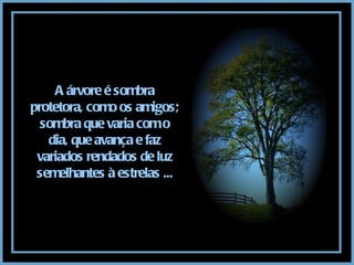A árvore é sombra protetora, como os amigos; sombra que varia com o dia, que avança e faz variados rendados de luz semelhantes à estrelas ... 