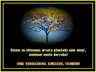 Dizem os chineses: árvore plantada com amor,
nenhum vento derruba!
UMA VERDADEIRA AMIZADE, TAMBÉM!
 