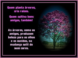 Quem planta árvores,
cria raízes.
Quem cultiva bons
amigos, também!
As árvores, como os
amigos, produzem
beleza para os olhos
e os ouvidos, na
mudança sutil de
suas cores.
 