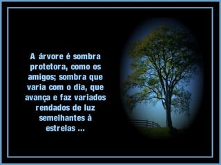 A árvore é sombra
protetora, como os
amigos; sombra que
varia com o dia, que
avança e faz variados
rendados de luz
semelhantes à
estrelas ...
 