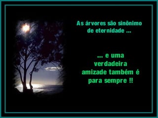 As árvores são sinônimo
de eternidade ...
... e uma
verdadeira
amizade também é
para sempre !!
 
