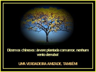 Dizem os chineses: árvore plantada com amor, nenhum vento derruba! UMA VERDADEIRA AMIZADE, TAMBÉM! 