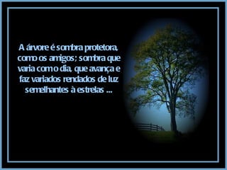 A árvore é sombra protetora, como os amigos; sombra que varia com o dia, que avança e faz variados rendados de luz semelhantes à estrelas ... 